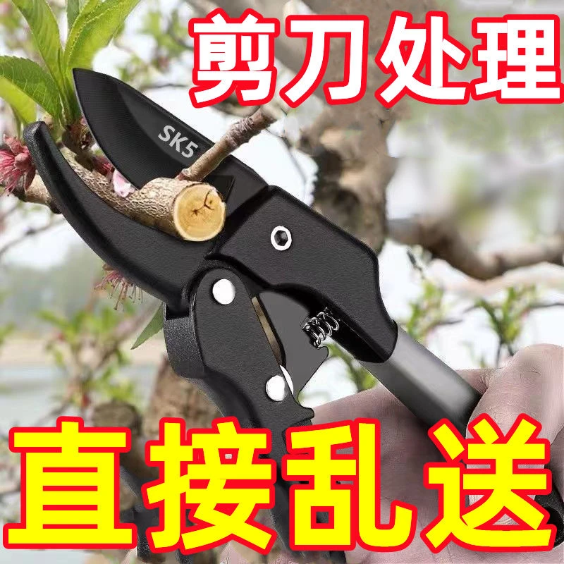 德国钢剪果树枝神器省力园艺剪子滑轮修枝剪花枝园苏宜