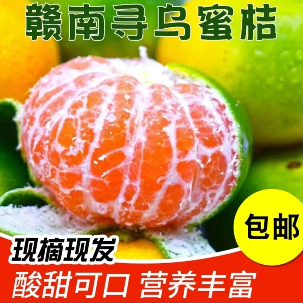 江西赣南寻乌蜜橘现摘无籽青皮蜜橘新鲜应季水果3/5斤