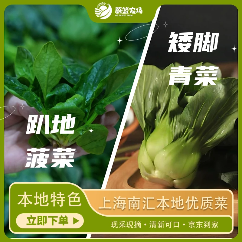 【本地特色】上海南汇本地霜打矮脚青趴地菠菜组合