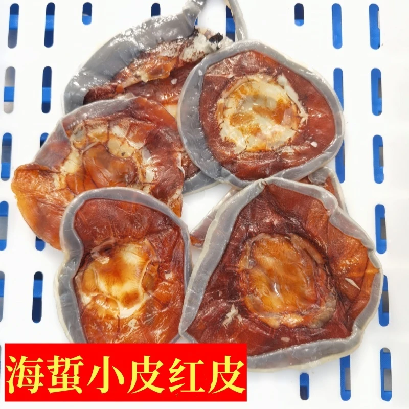 【海蜇小皮子】宁波舟山本地野生海蜇红皮