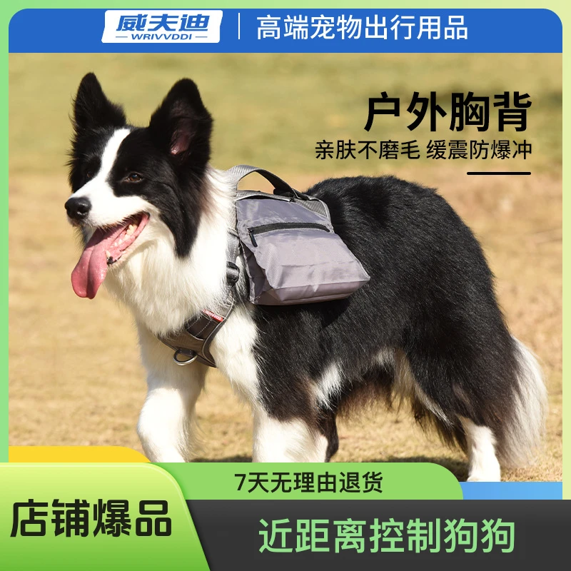 亚马逊新款宠物狗狗绳子牵引绳背帶胸背 防咬断狗链条p绳p链胸