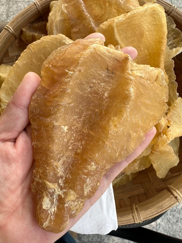 精选约18头斗湖鱼胶滋补干货营养煲汤佳品
