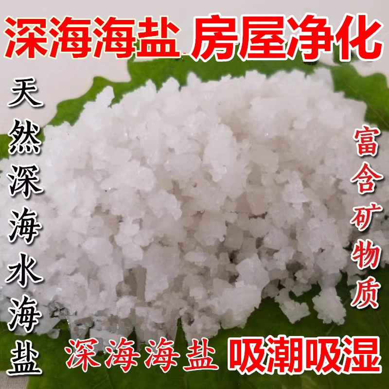 房屋摆件净化天然海盐粗盐净化吸潮房间潮湿吸水空气除湿