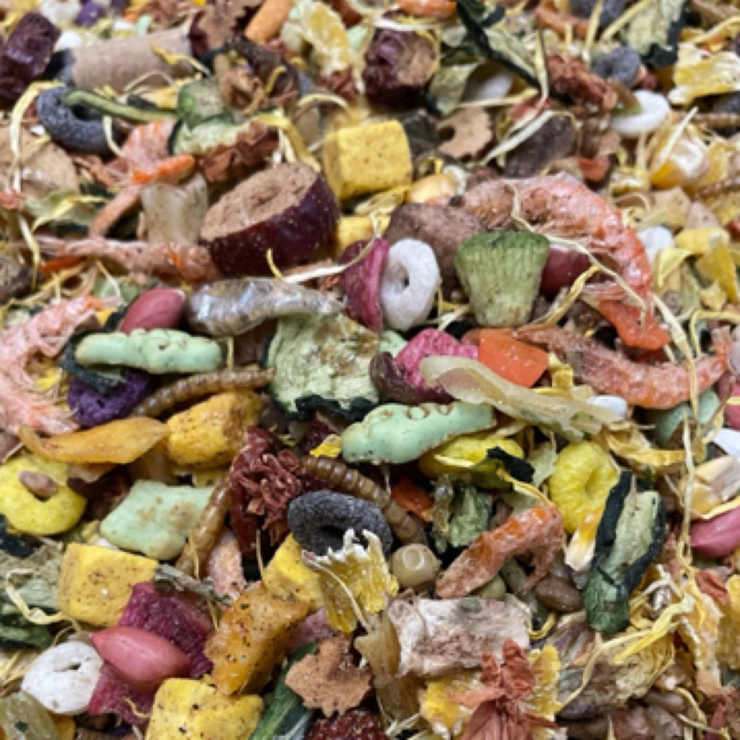 仓鼠金丝熊花枝鼠自配粮食