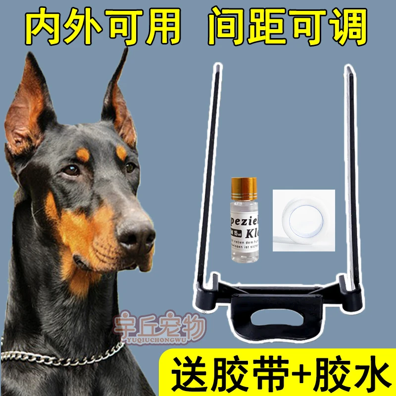 【小扬哥 甄选】杜宾专用立耳器杜宾犬幼犬狗狗耳朵矫正固定器神