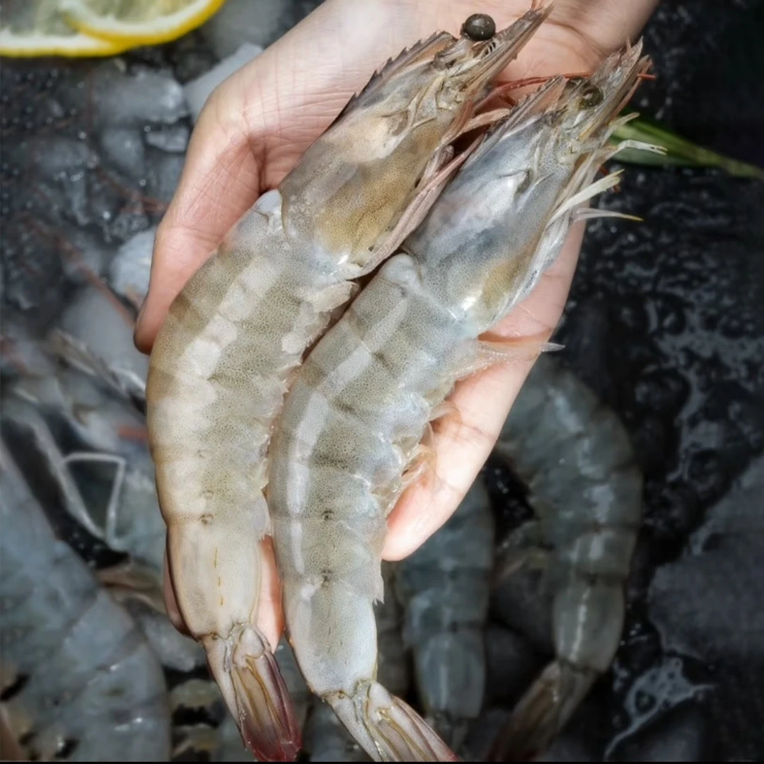 盐冻大虾 3040大虾