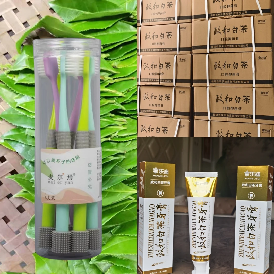 【主播福利】政和白茶牙膏金装版120g*2支*牙刷6支