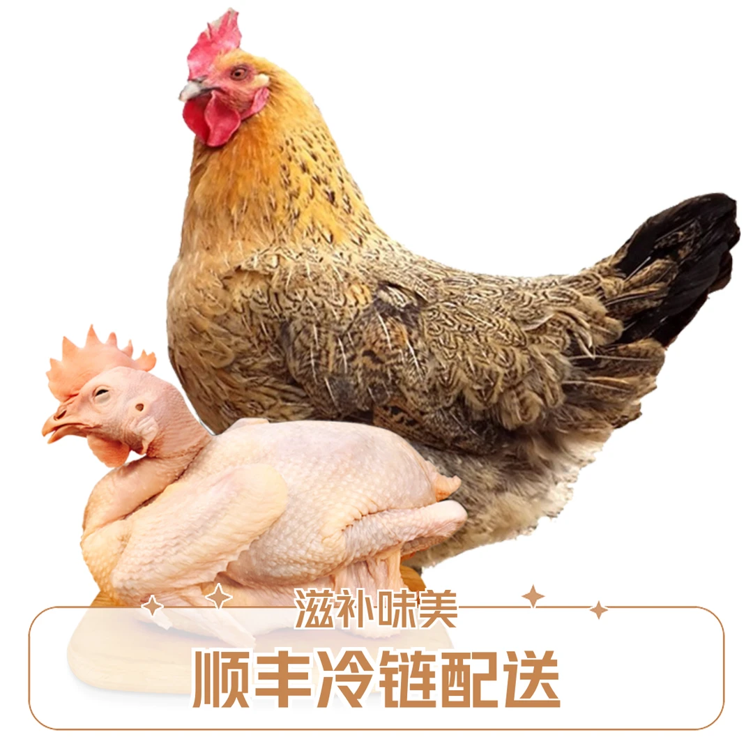 【买二送一】农家散养老母鸡2斤煲汤滋补味美现杀现发冷冻老母鸡