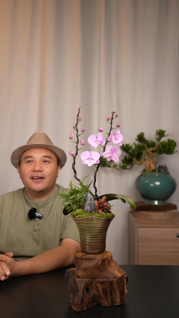 【闪购商品】151链接【一物一拍】艺术盆景