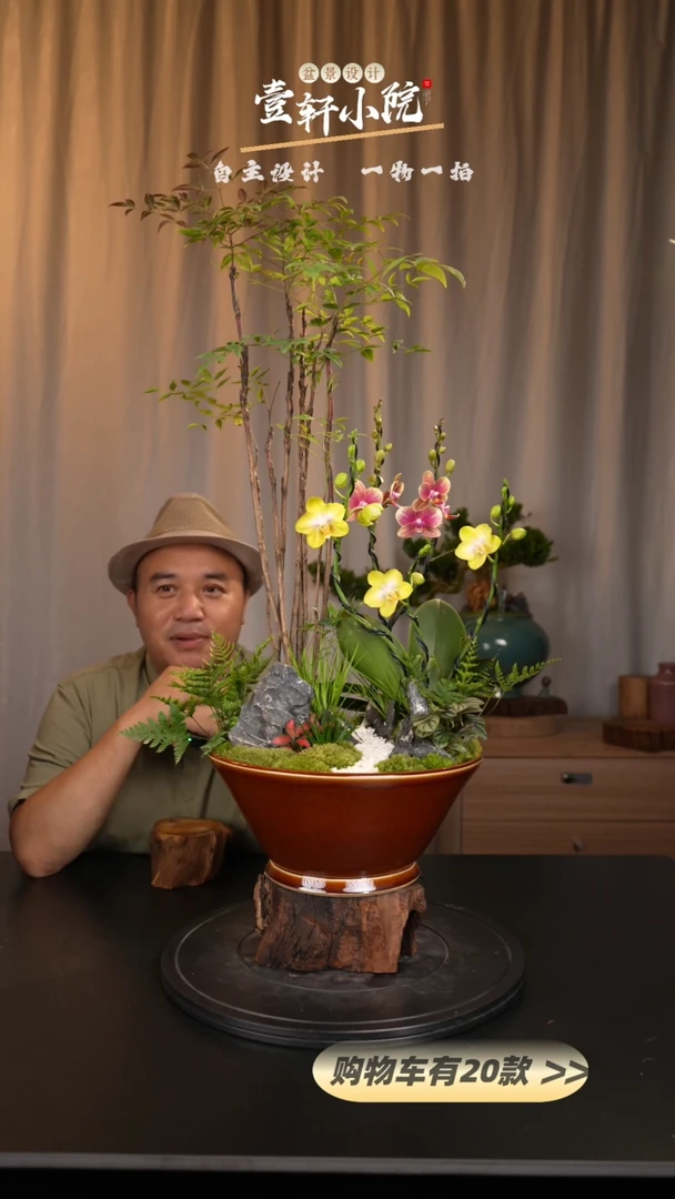 【闪购商品】152【一物一拍】艺术盆景