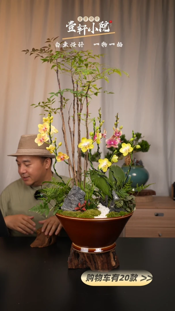 【闪购商品】155链接【一物一拍】艺术盆景