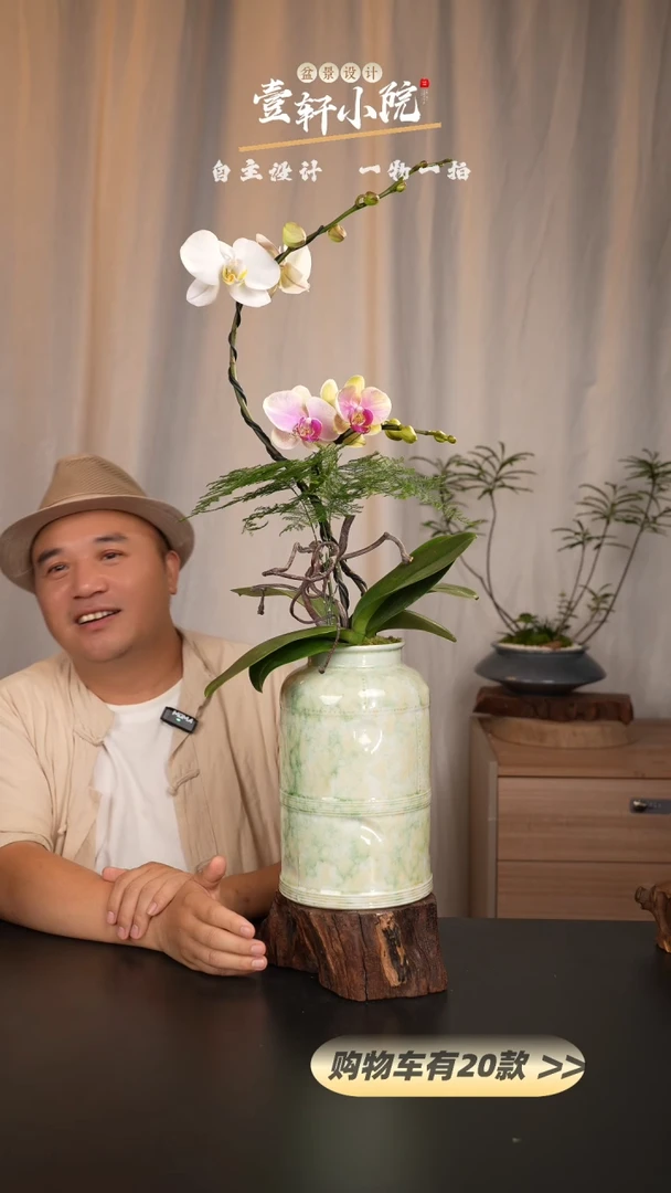 【闪购商品】221链接【一物一拍】艺术盆景
