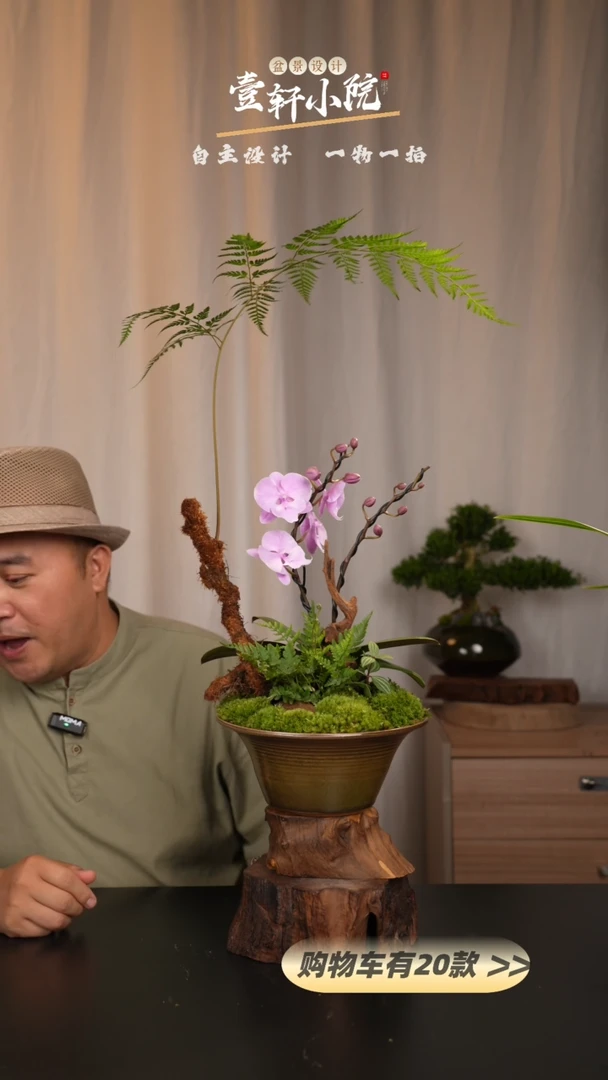 【闪购商品】链接【一物一拍】艺术盆景