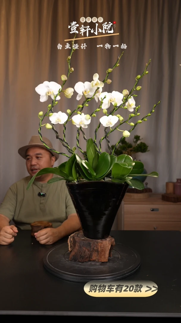 【闪购商品】129【一物一拍】艺术盆景