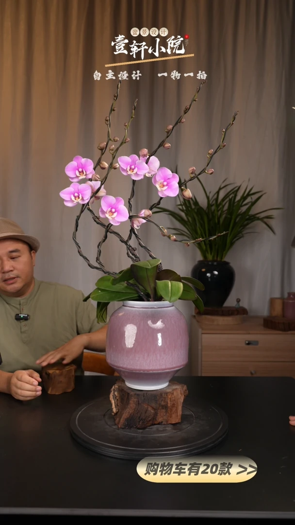 【闪购商品】109【一物一拍】艺术盆景