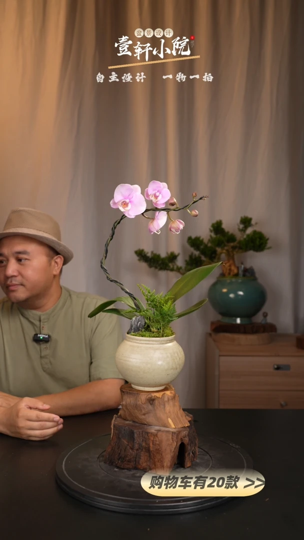 【闪购商品】165【一物一拍】艺术盆景