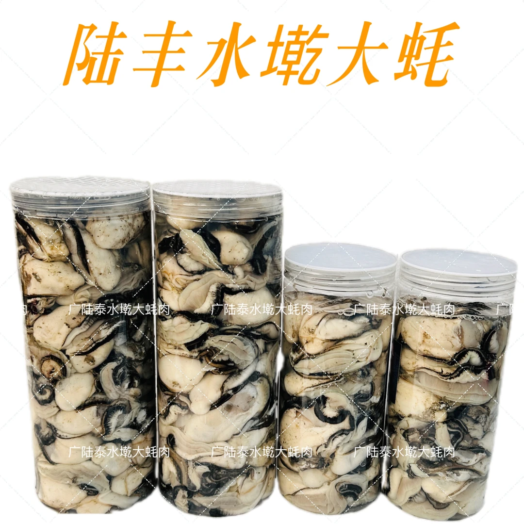 汕尾陆丰水墘乌耳白肚大塭蚝