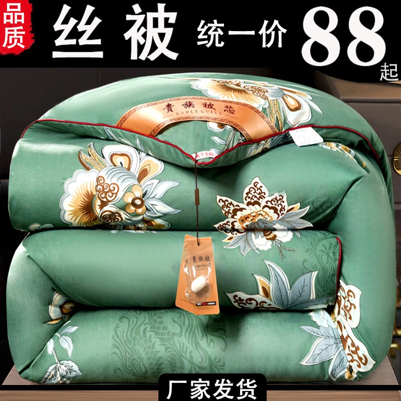 冬天桑丝被子被芯加厚保暖冬被春秋被芯秋冬款双人被冬季棉被褥子