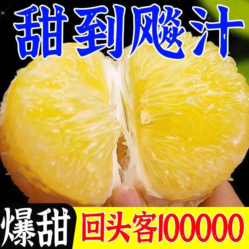 爆汁黄金葡萄柚超甜薄皮福建平和柚子新鲜水果当季台湾西柚