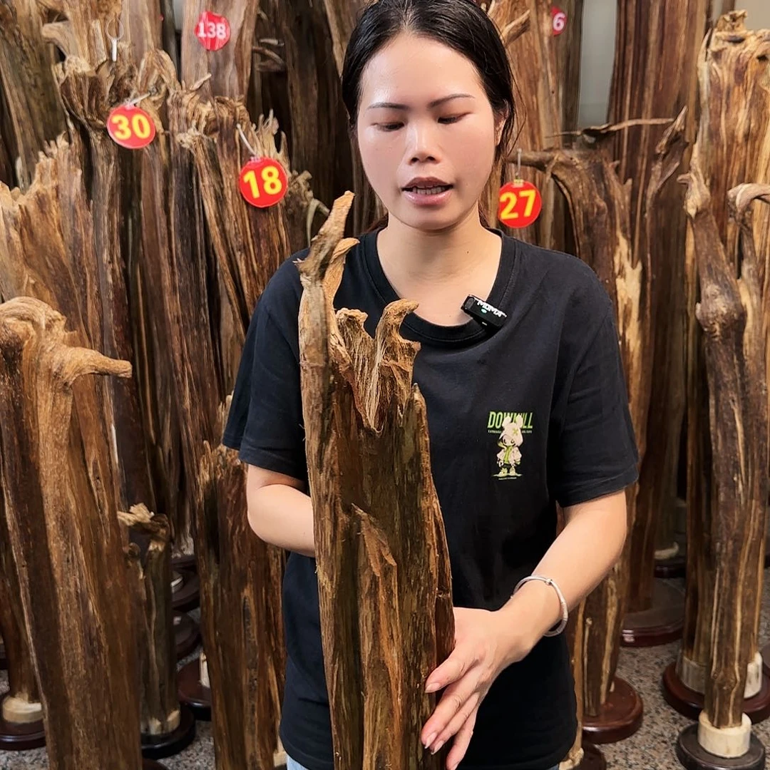 沉香摆件天然沉香原木摆件➕底座