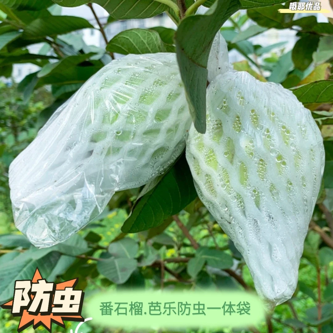 番石榴套袋网袋芭乐防虫网袋专用一体泡沫包装袋芭乐袋子批发果袋
