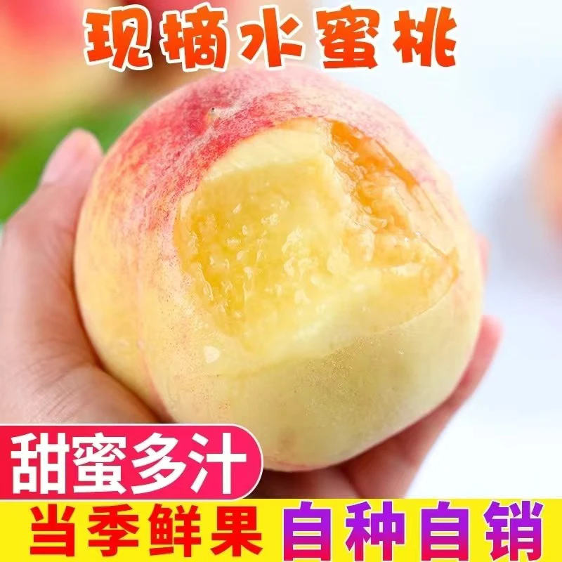 正宗陕西关中高山水蜜桃香甜多汁现采现发净重4.5斤农产品