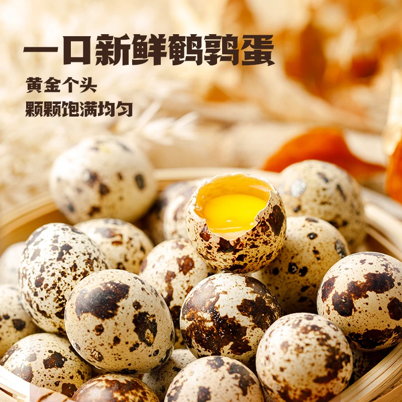 【赠品】王小卤五香鹌鹑蛋儿童解馋高蛋白零食即食新鲜鹌鹑蛋65g