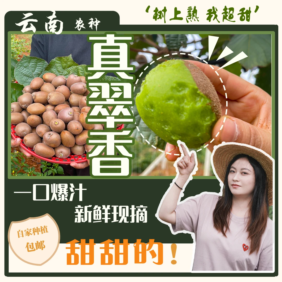 自然熟翠香猕猴桃云南超甜原汁原味高品质包邮包售后新鲜猕猴桃