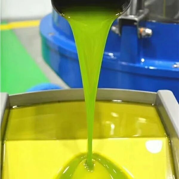 陇南特级初榨橄榄油一级鲜果物理冷榨纯天然0添加品尝优惠价
