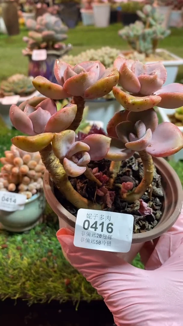 【闪购商品】0416