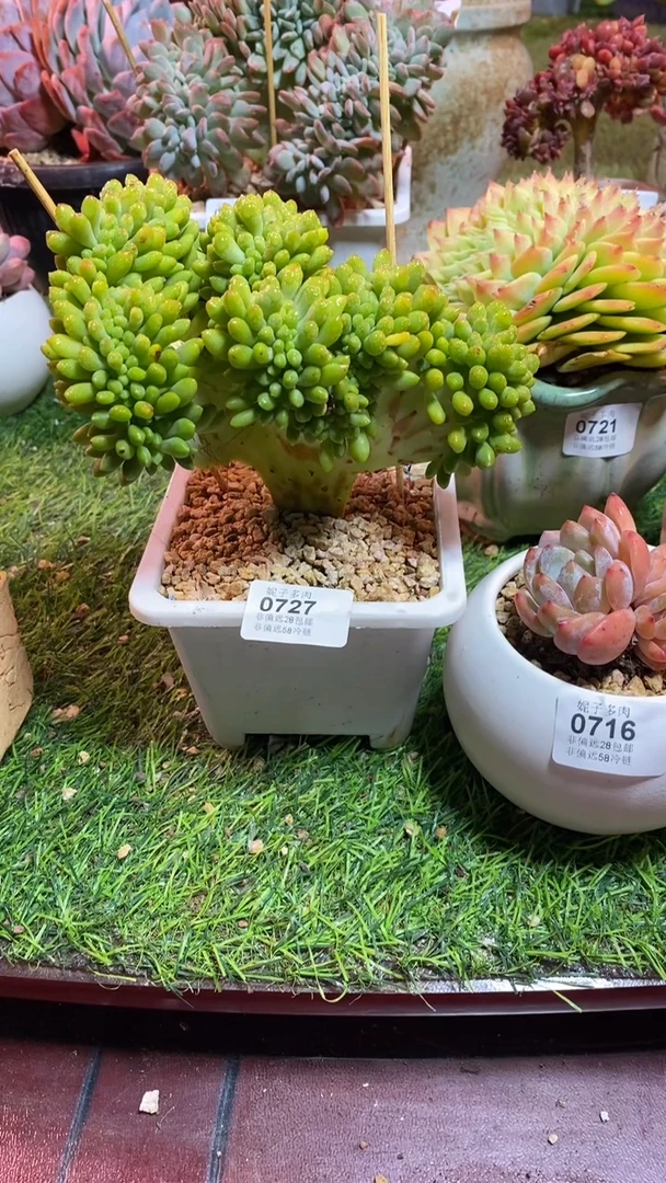 【闪购商品】0727