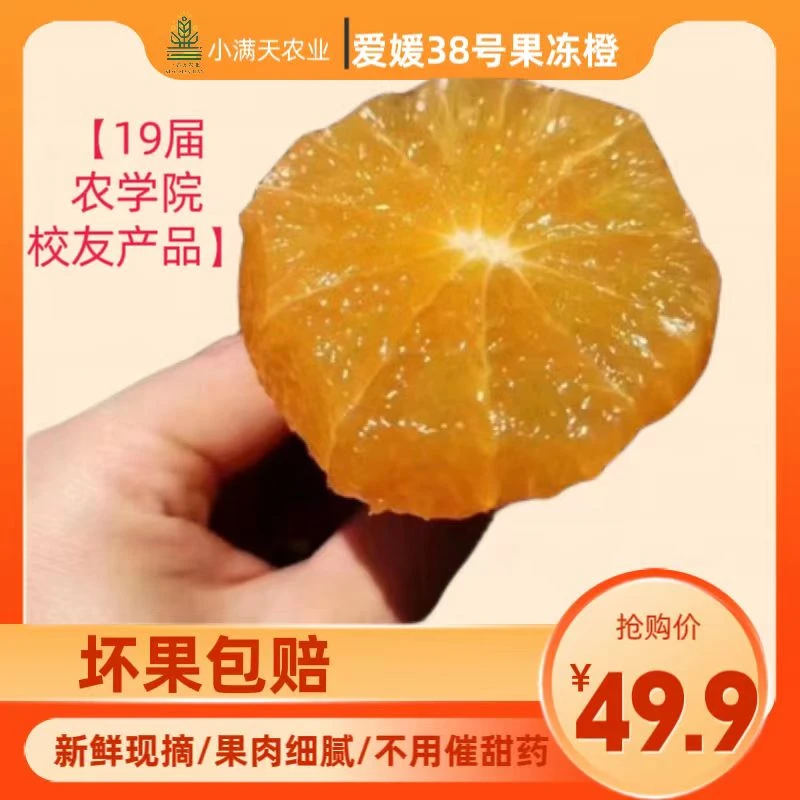 【新鲜采摘】四川眉山爱媛38号果冻橙5KG