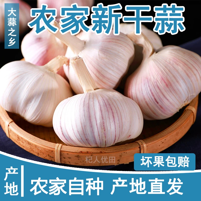 【新粉浮力】5斤新干蒜2023年大蒜农家自种大蒜头1斤2斤3斤9斤大蒜