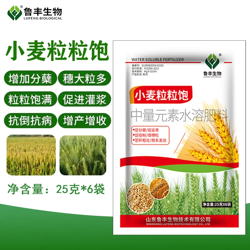 鲁丰 肥料 小麦粒粒饱