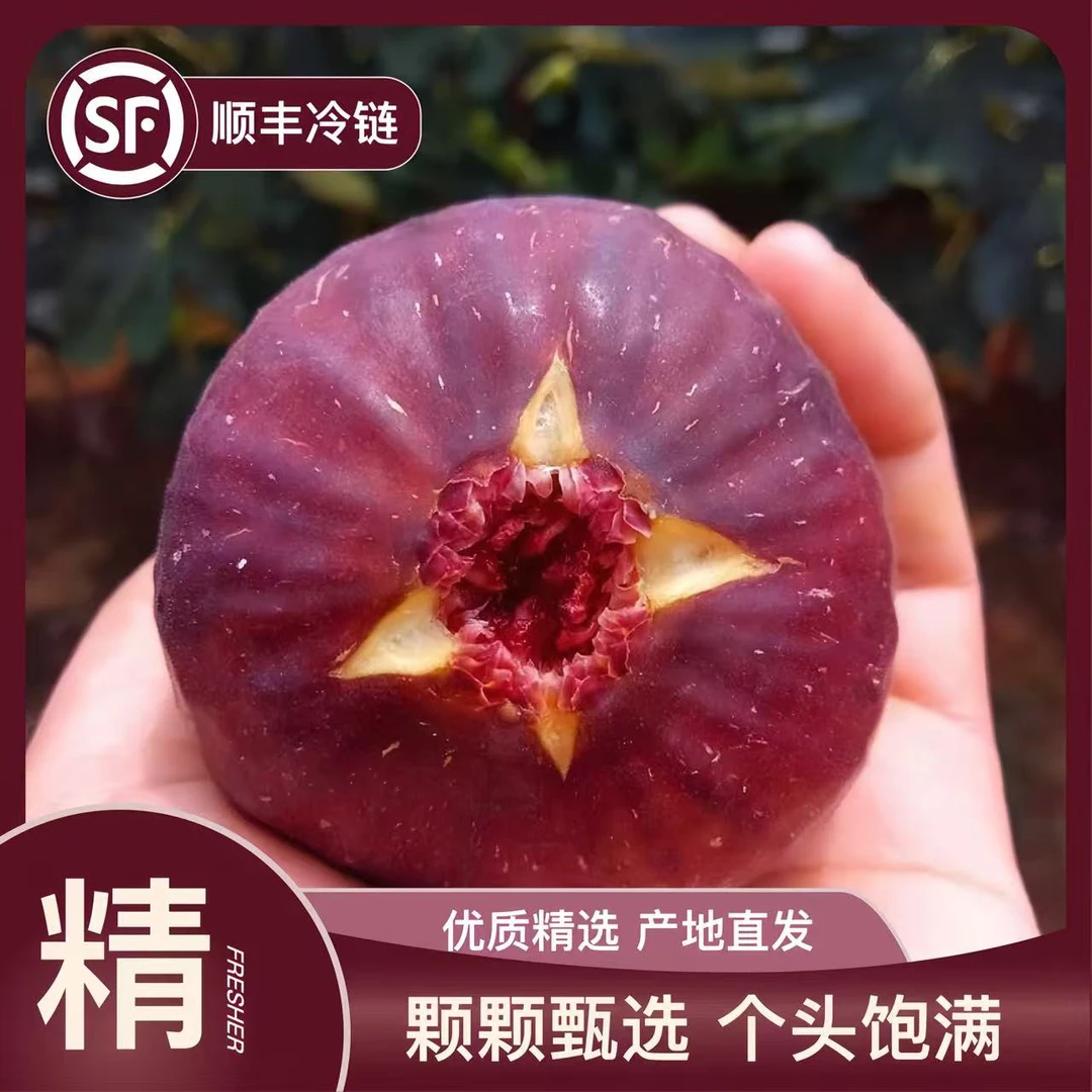 【顺丰快递】红皮无花果当季水果香甜软糯新鲜非青皮果现摘1-5斤