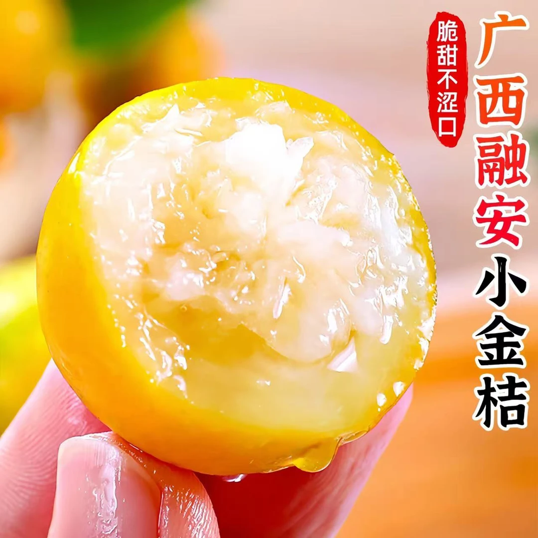 【脆爽冰糖芯】广西融安脆皮金桔孕妇滑皮金桔新鲜小橘子