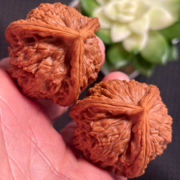 水龙纹三棱狮子头37