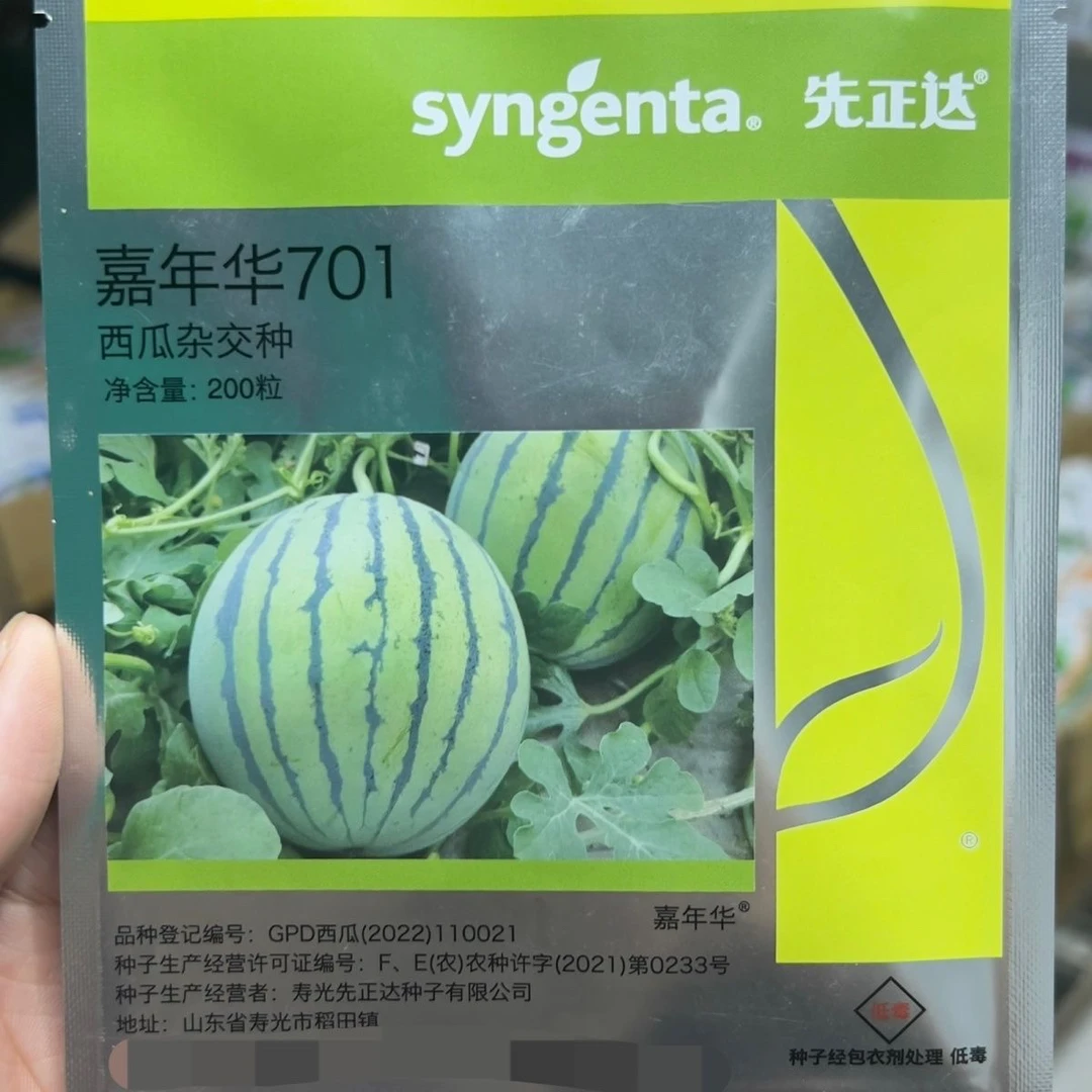 先正达嘉年华西瓜种子高产量抗寒抗枯萎大棚种植糖度高果皮饱满
