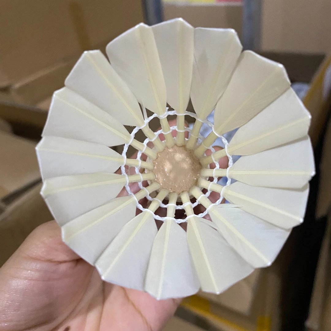 高亚威免熏蒸鹅毛反洗单边耐打训练学习羽毛球简装