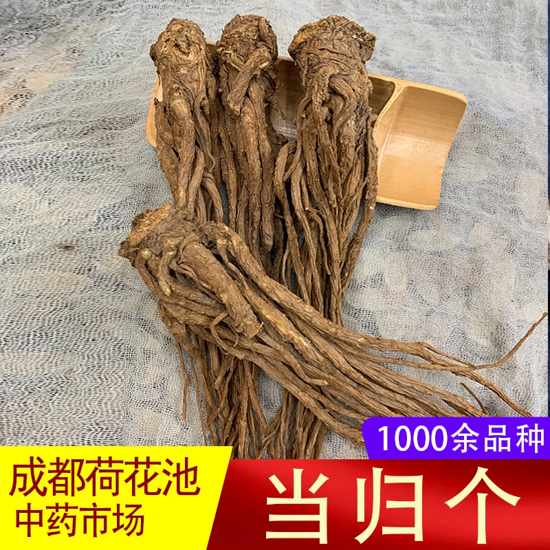 甘肃 当归 个子1000克 500克