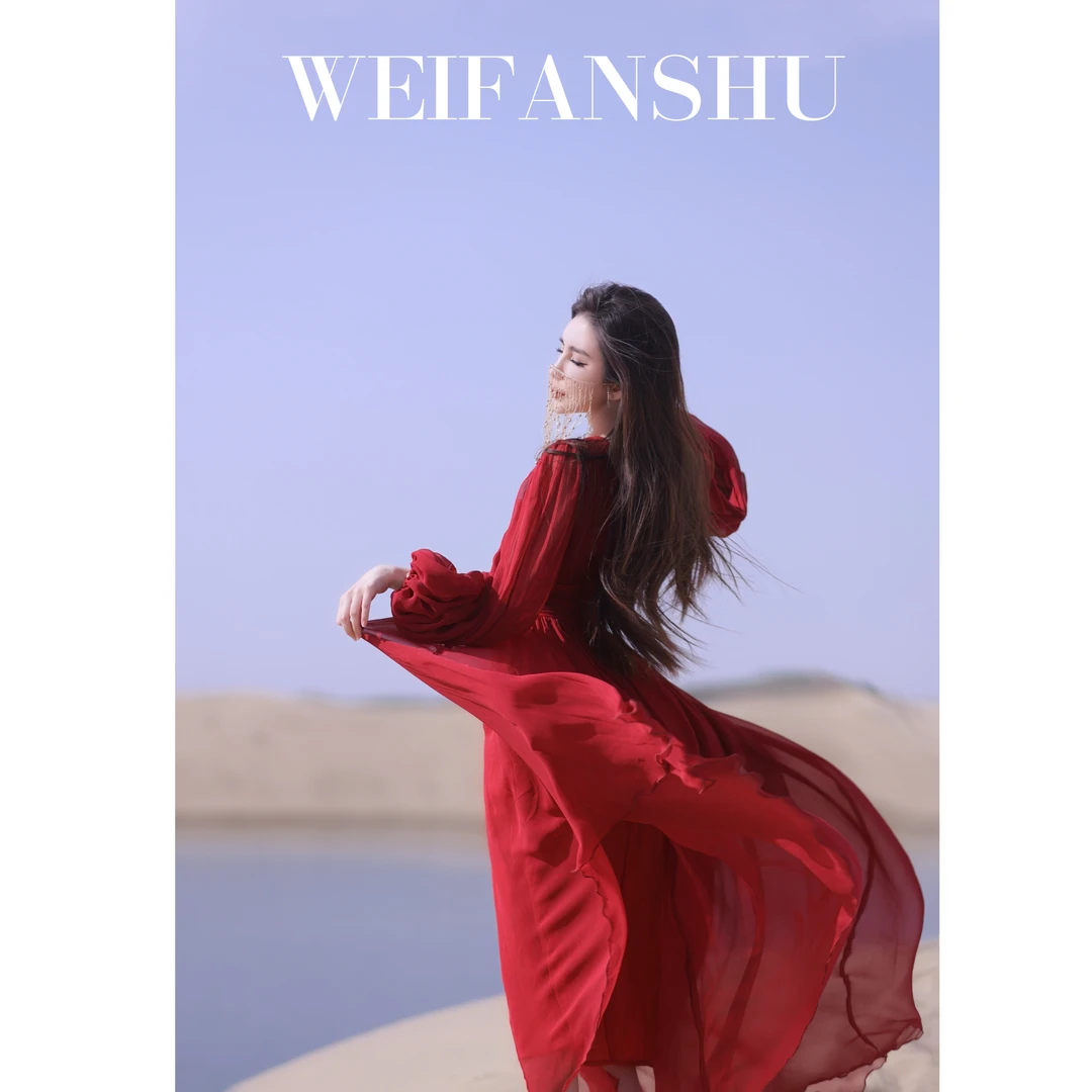 WEIFANSHU/魏凡舒【西域公主】气质时尚高腰连衣裙