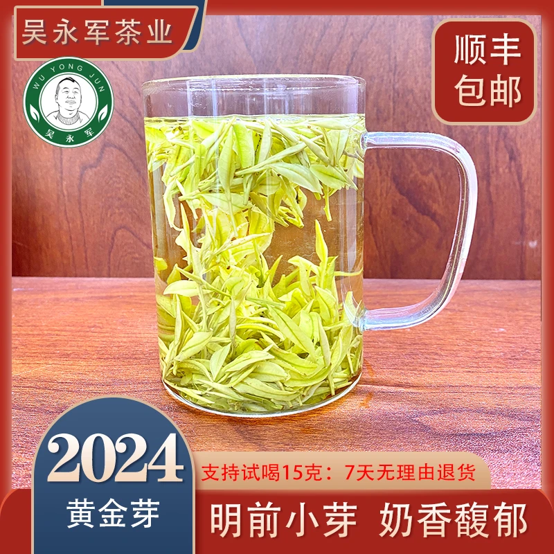 ~2024年春茶新茶780黄金芽