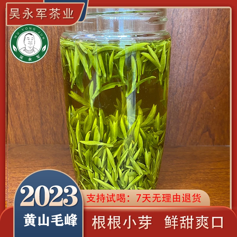 2023春茶新茶508黄山原产地毛峰绿茶罐装原产地