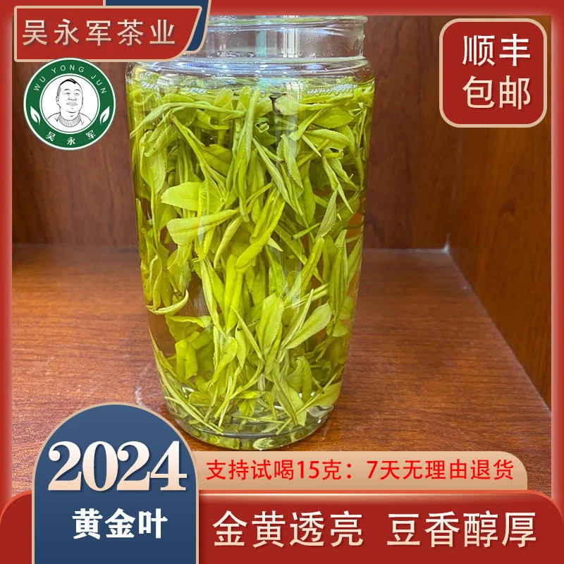 ~2024年春茶新茶288黄金叶