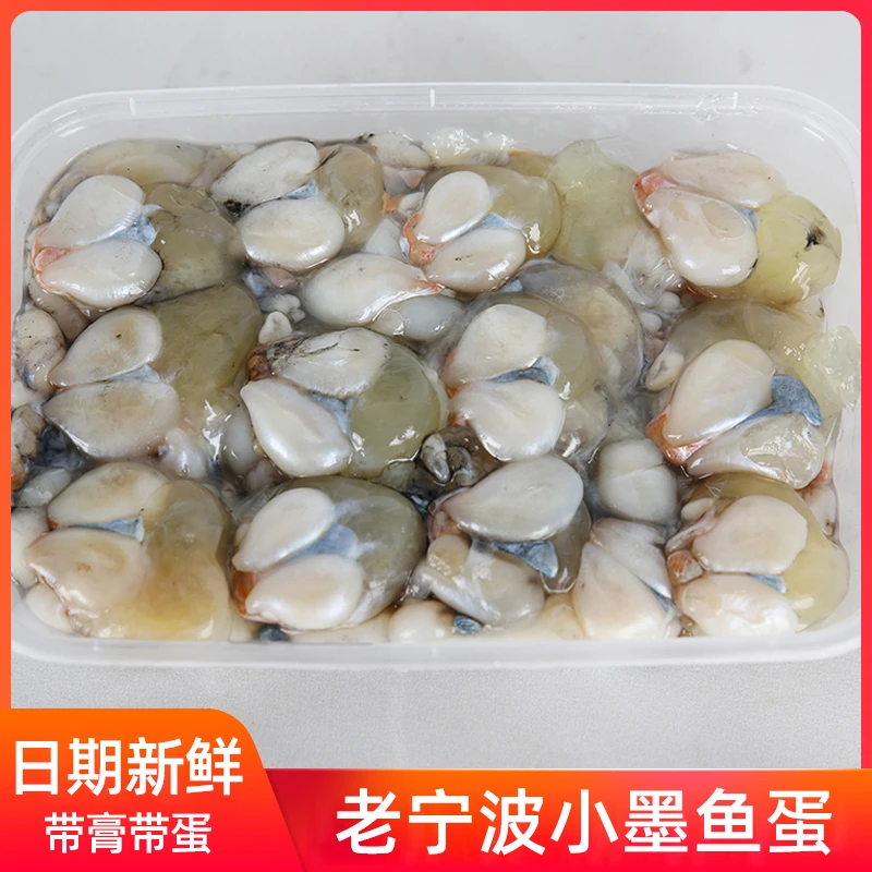特产新鲜带膏小墨鱼蛋乌贼卵咸味乌鱼蛋腌制海鲜目鱼蛋