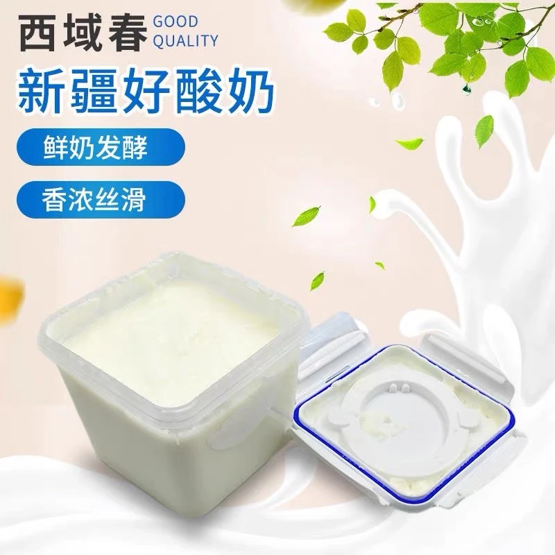 西域春酸奶桶装4斤装低温冷藏老酸奶