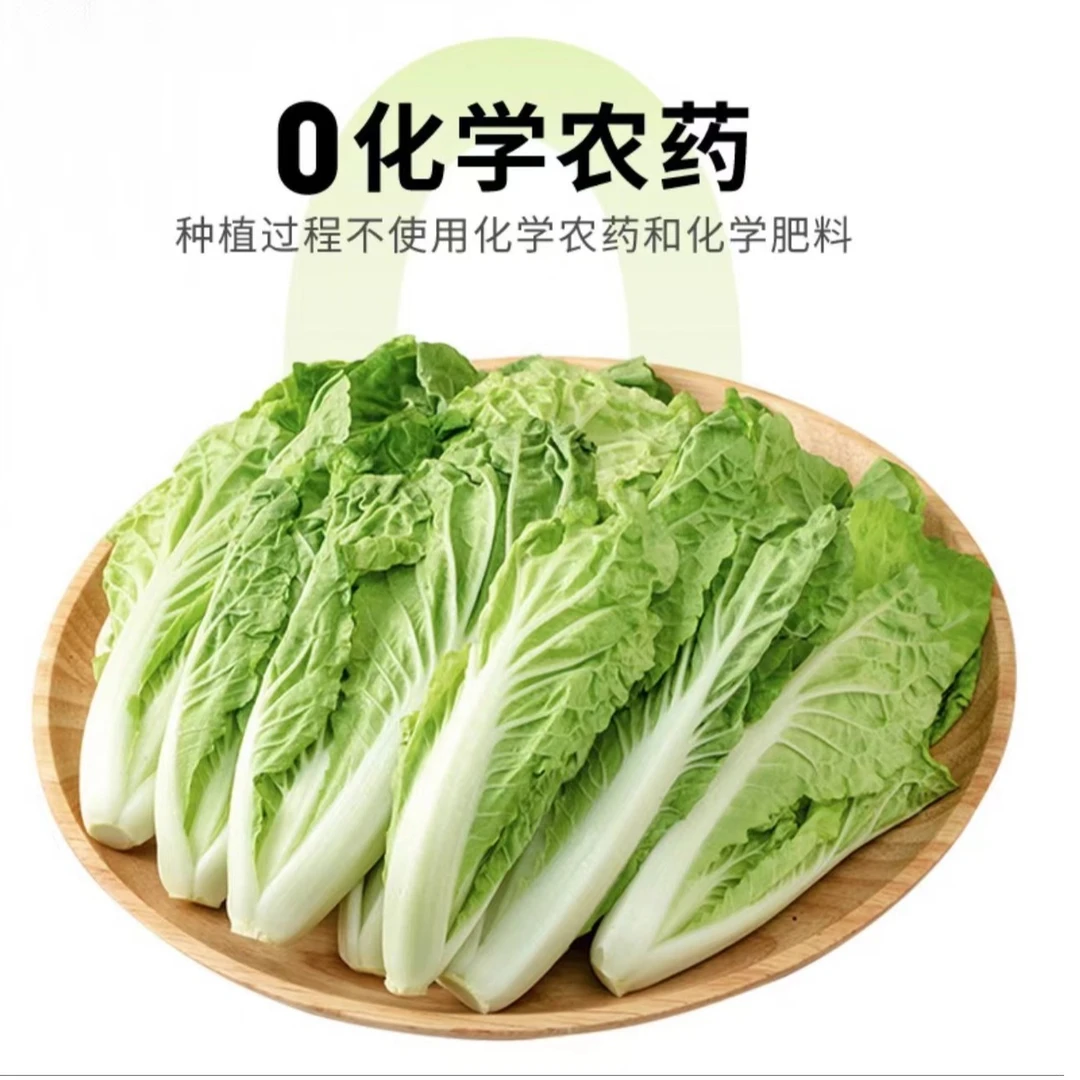 有机杭白菜 400g/袋