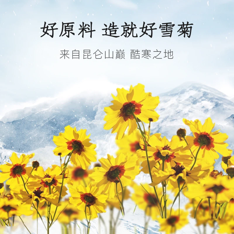 40袋高海拔昆仑山雪菊新疆天山雪菊胎菊高山新疆特产菊花原产地