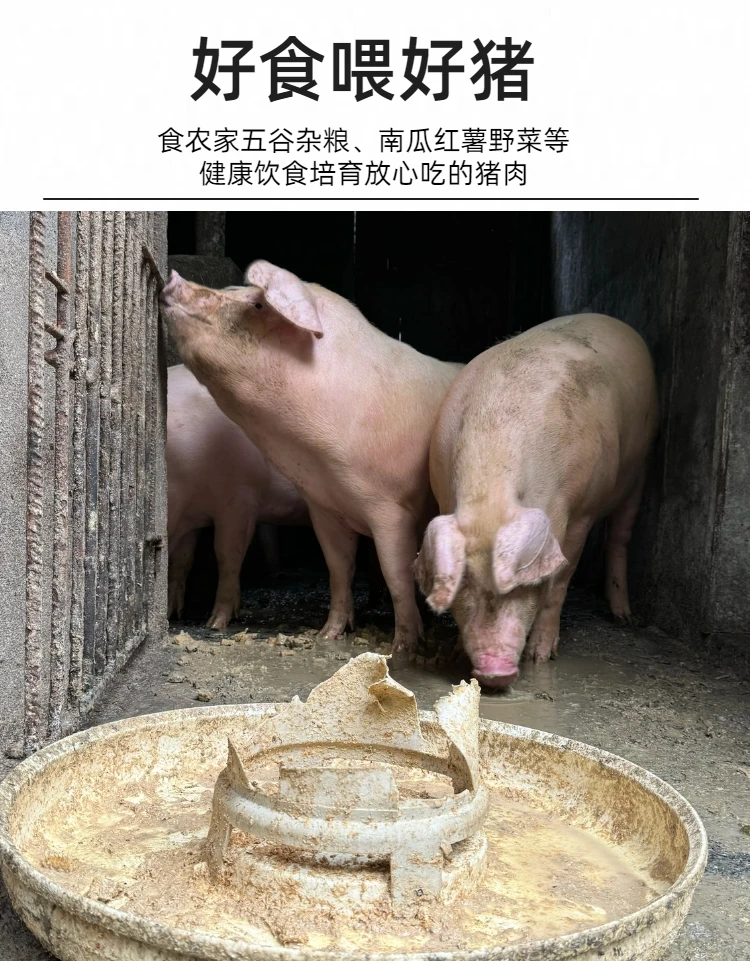 代买湖南农家土猪肉专拍链接（禁退单）