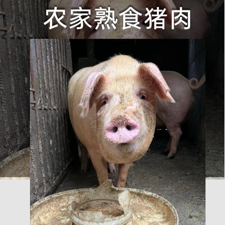代买湖南农家土猪肉熟食猪现称排骨前后腿肉骨头瘦肉五花肉